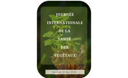 Journée internationale de la santé des végétaux 