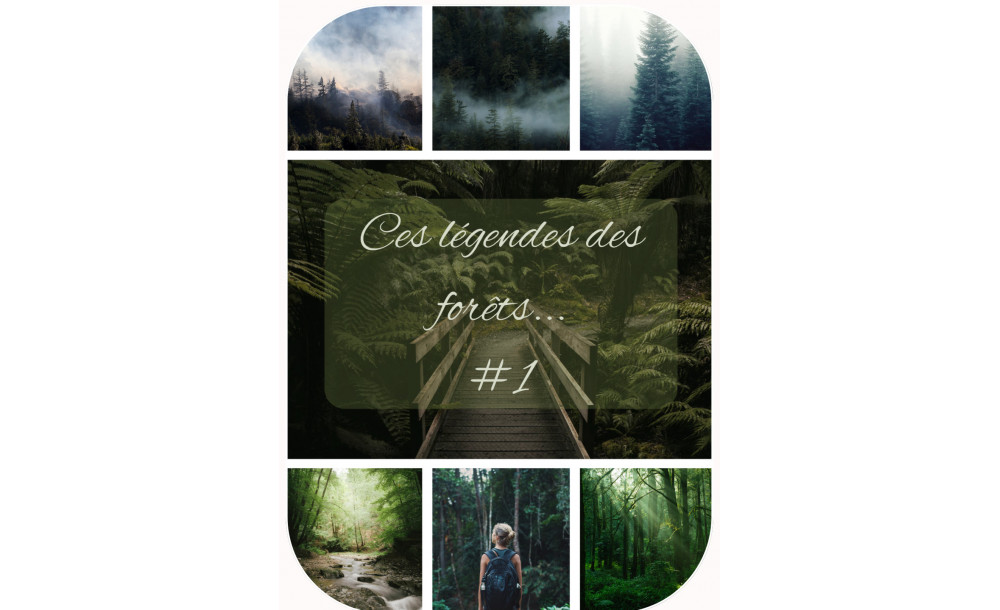 Ces légendes des forêts #1