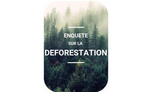 Enquête Deforestation .Inc