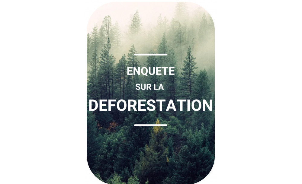 Enquête Deforestation .Inc